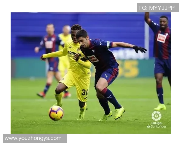 每体：西班牙人举行第三届“鹦鹉不离弃”活动，支撑动物领养